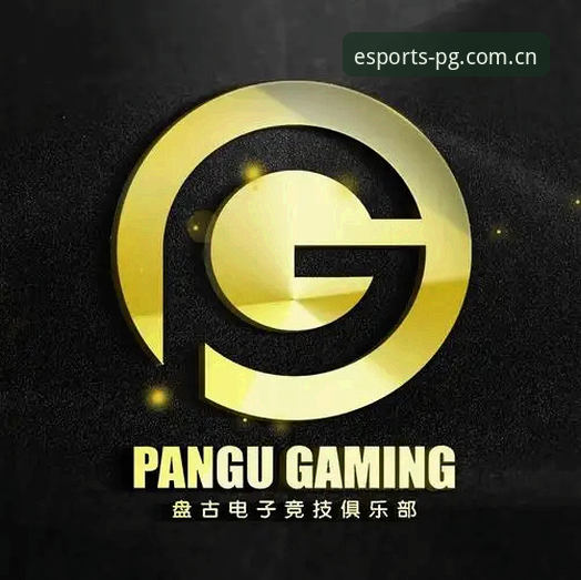 PG电竞登录入口使用教程：从零开始的竞技平台操作指南